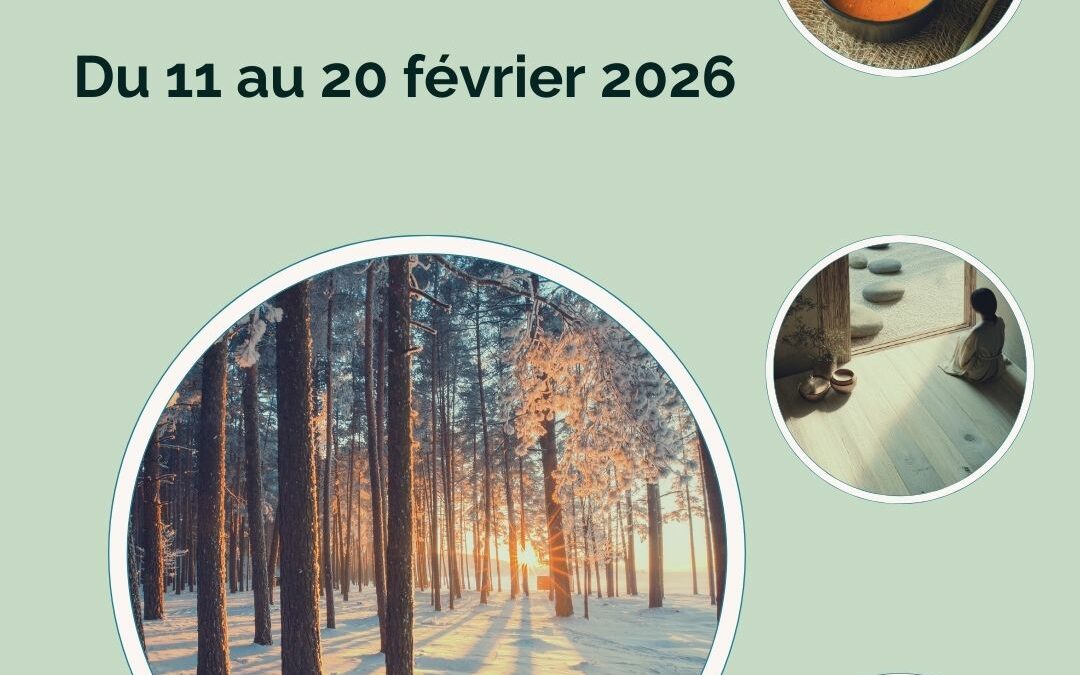 Avez-vous remarqué le retour de la lumière  depuis quelques jours ?